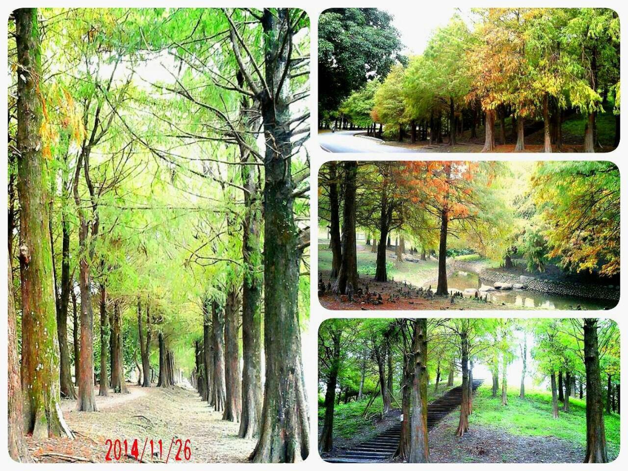 לודונג 公園 B&B מראה חיצוני תמונה